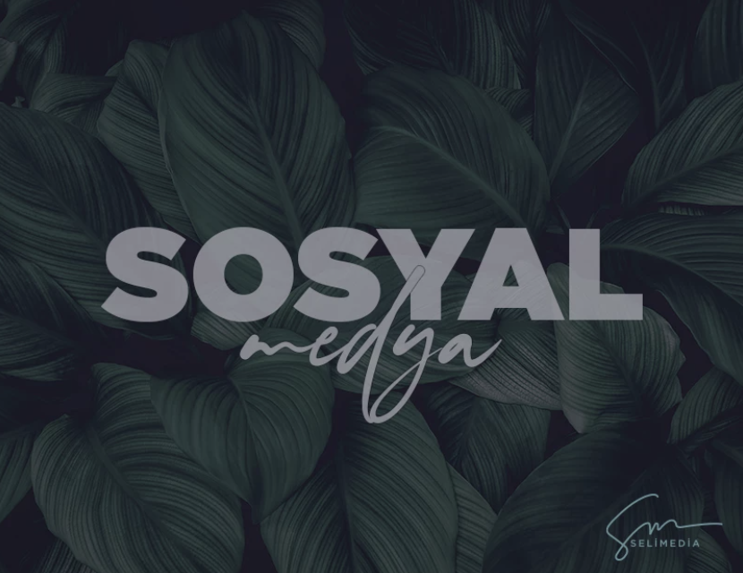 Sosyal Medya